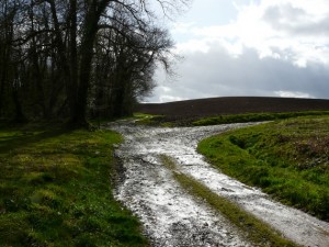 la plus grande montée