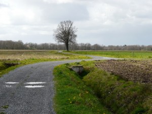 gros zig pour un zag