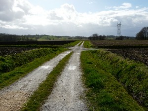 Tout droit à fond