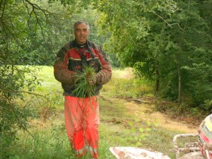 un bouquet d'herbe pour paulo