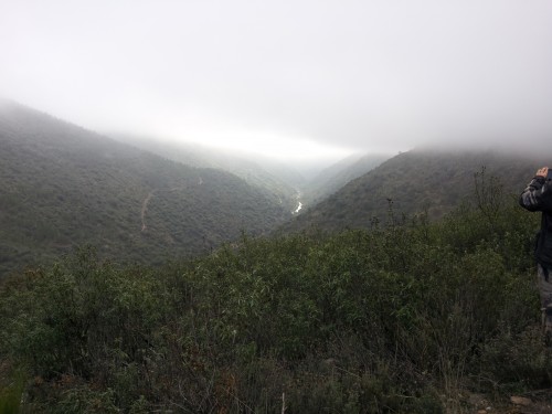 changement radical de terrain et de vegetation